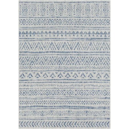 Mistana Tomas Indoor/Outdoor Area Rug on white background