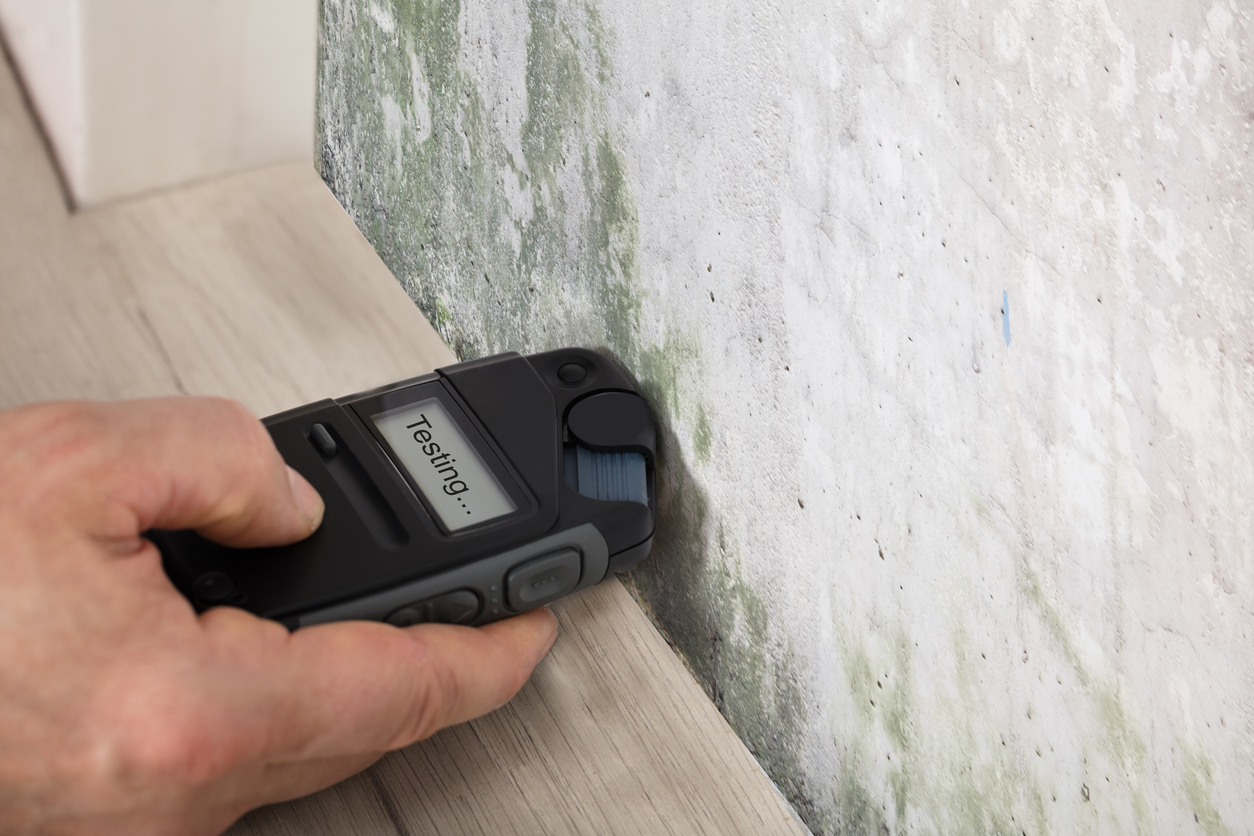 A meter reads 'testing' when held up to a moldy wall.