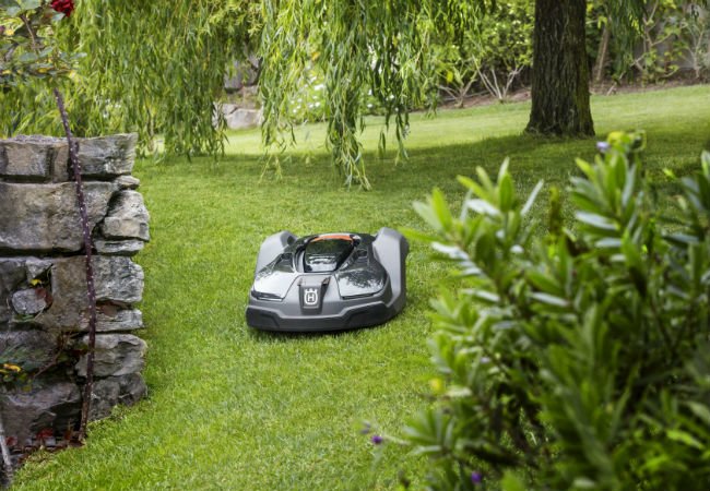 Solving the Biggest Yard Care Challenges