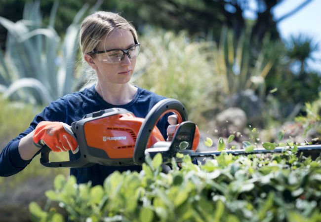 Solving the Biggest Yard Care Challenges