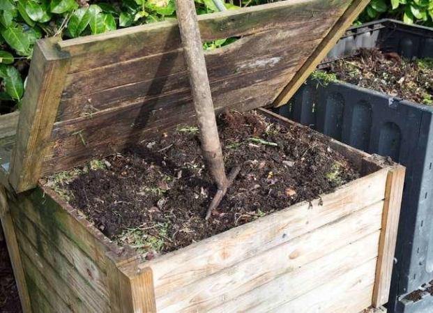 The Best Things You Can Do for Your Garden Soil
