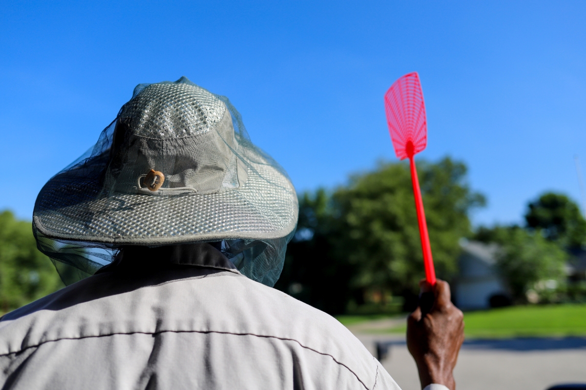 Rear view of man holding fly swatter.