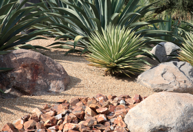 Keep Ticks at Bay with 9 Smart Landscaping Tips