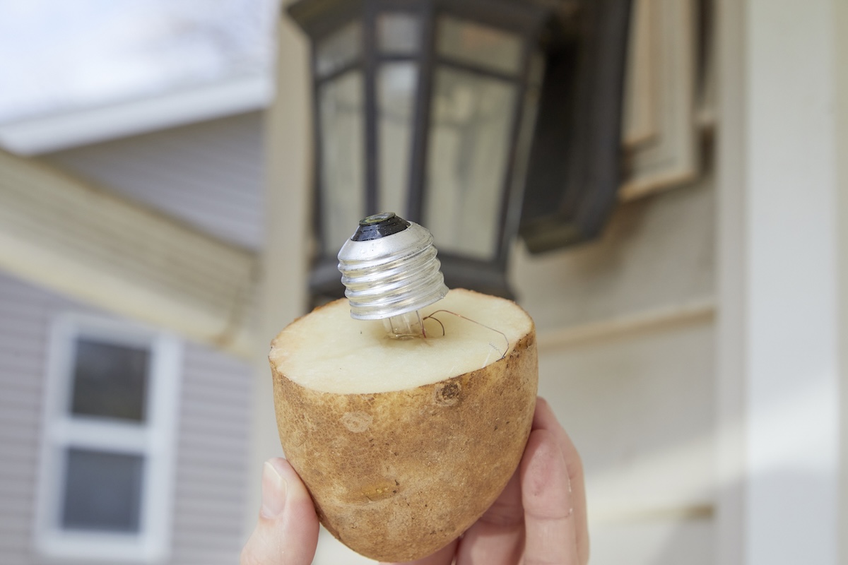 Person holds half a cut potato that has been used to remove a broken light bulb from a socket.