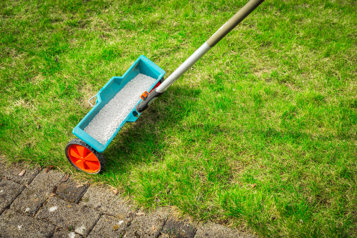 Fertilizer spreader on green lawn