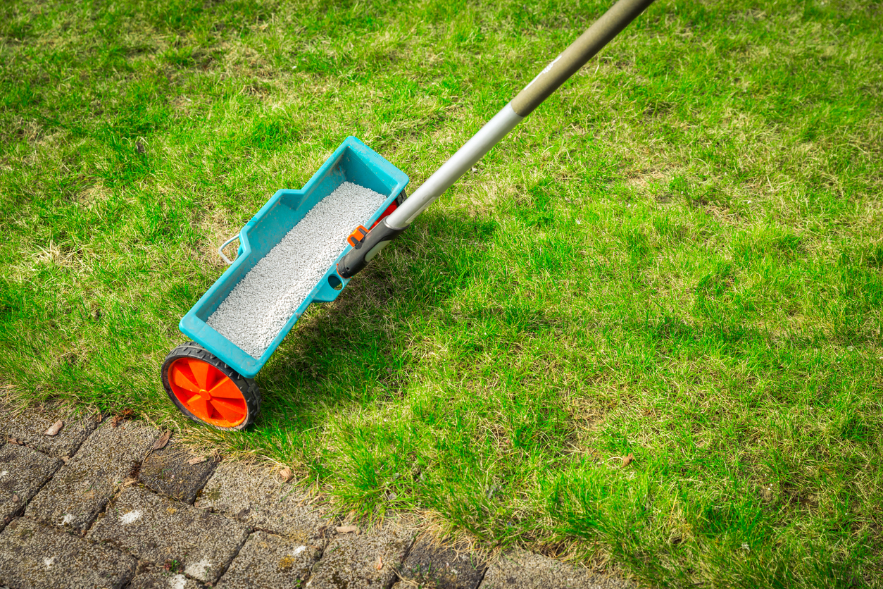 how to get rid of moss in lawn