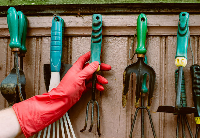 Garden tools. often used for weeding hang on a wooden wall.