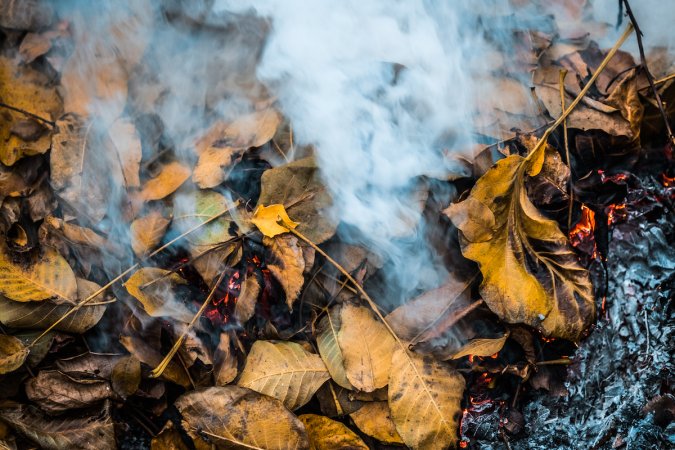 A pile of autumn leaves that's burning, with smoke billowing out of the pile.