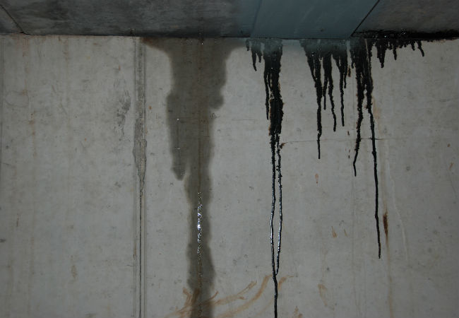 A water leak in a basement wall.