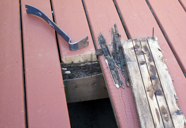How to Prevent and Repair Wood Rot's Damage