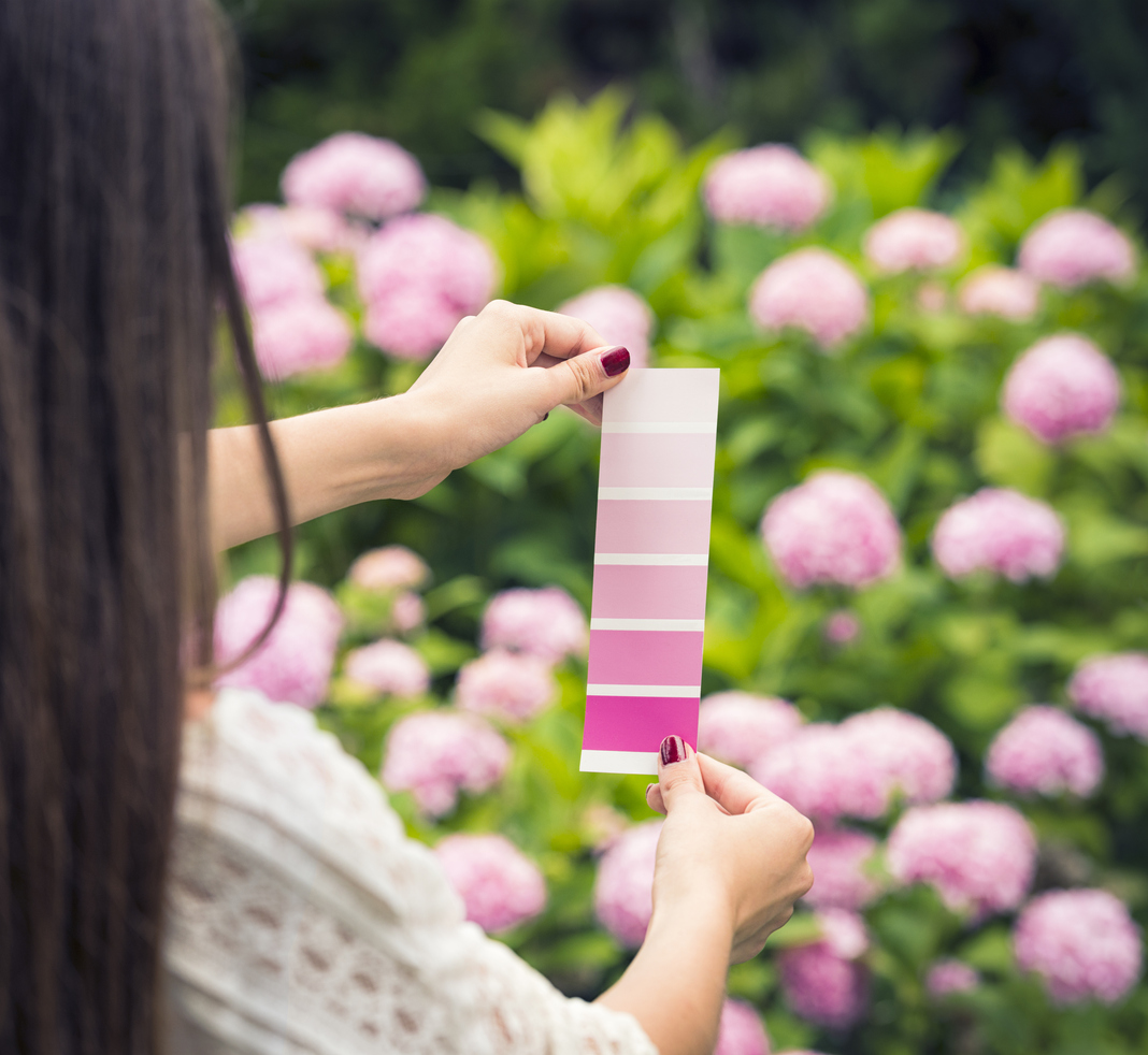 Woman holds swatch of pink paints in front of a field of pink flowers.