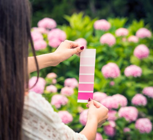 Woman holds swatch of pink paints in front of a field of pink flowers.