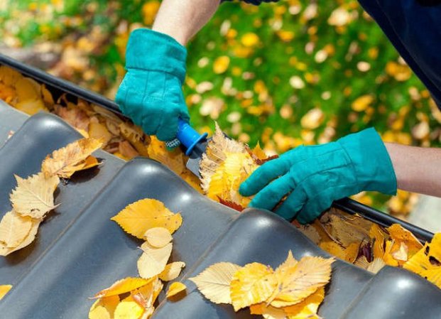 14 Mistakes Homeowners Make Every Fall