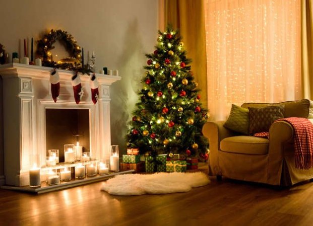 8 Things You Never Even Knew About Christmas Trees