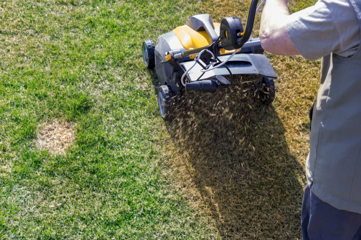 When to Aerate the Lawn? Solved!