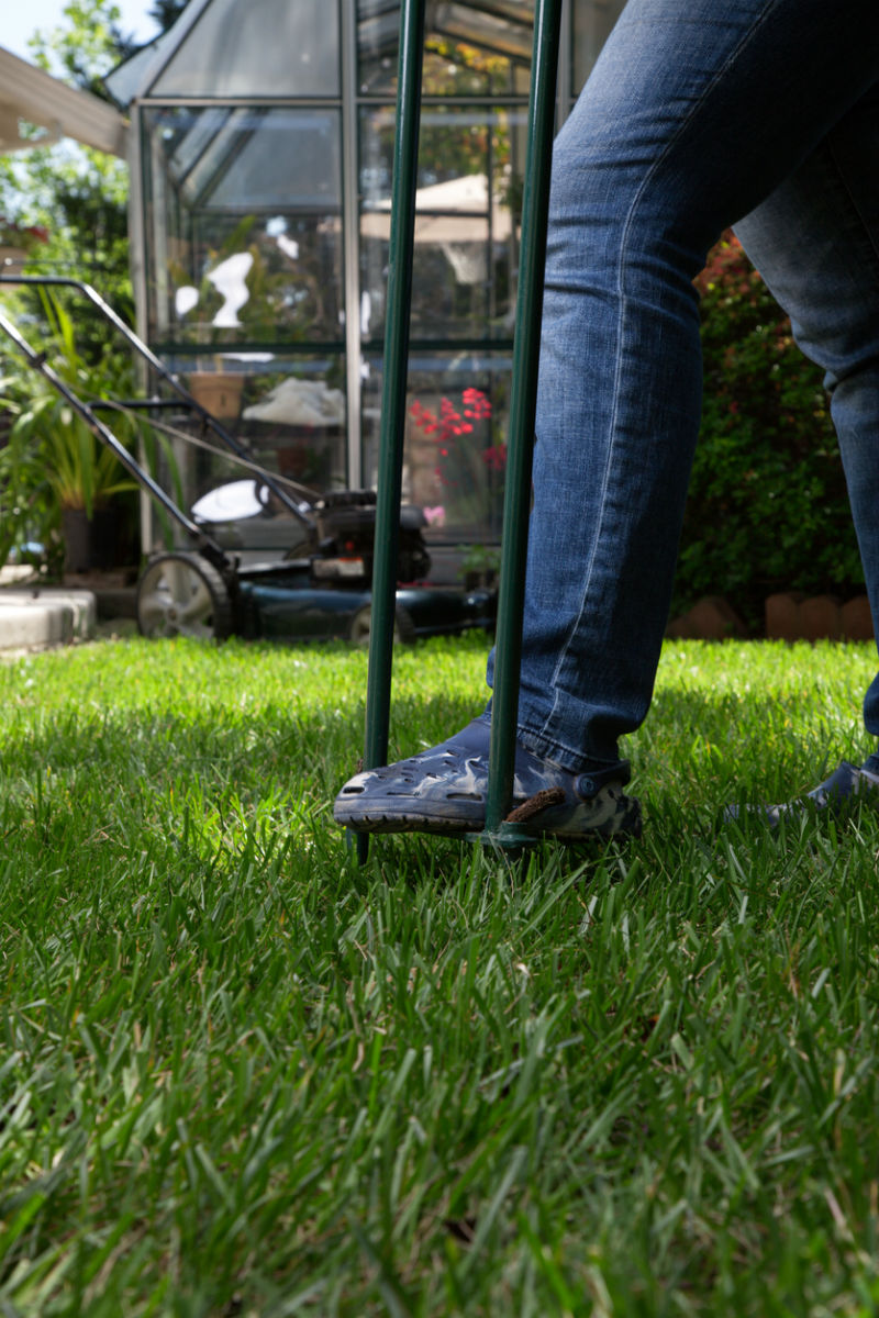When to Aerate the Lawn? Solved!