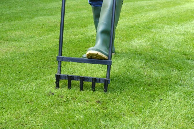 How Much Does Lawn Aeration Cost?
