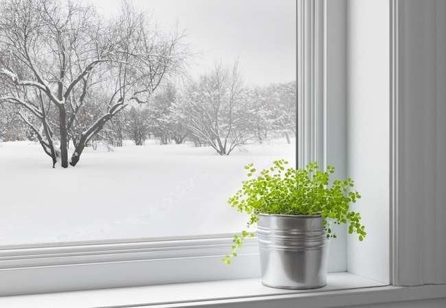 Buyer’s Guide: Replacement Windows