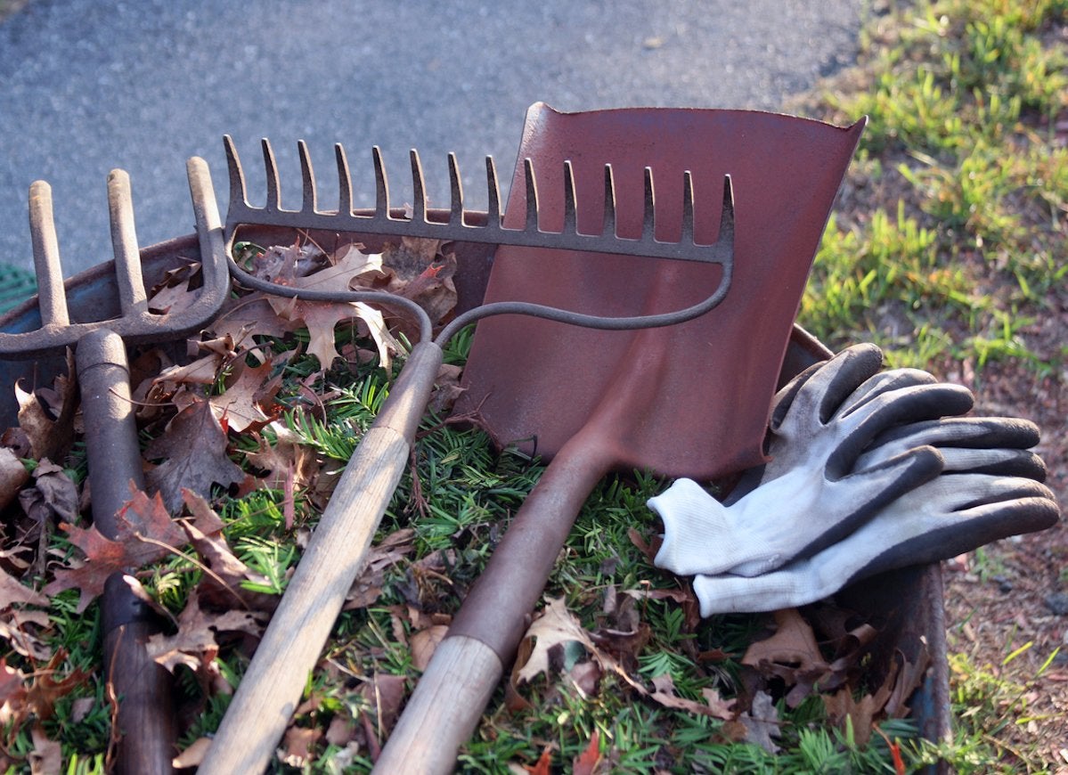 Garden tools on top of wheelbarrow with leaves.