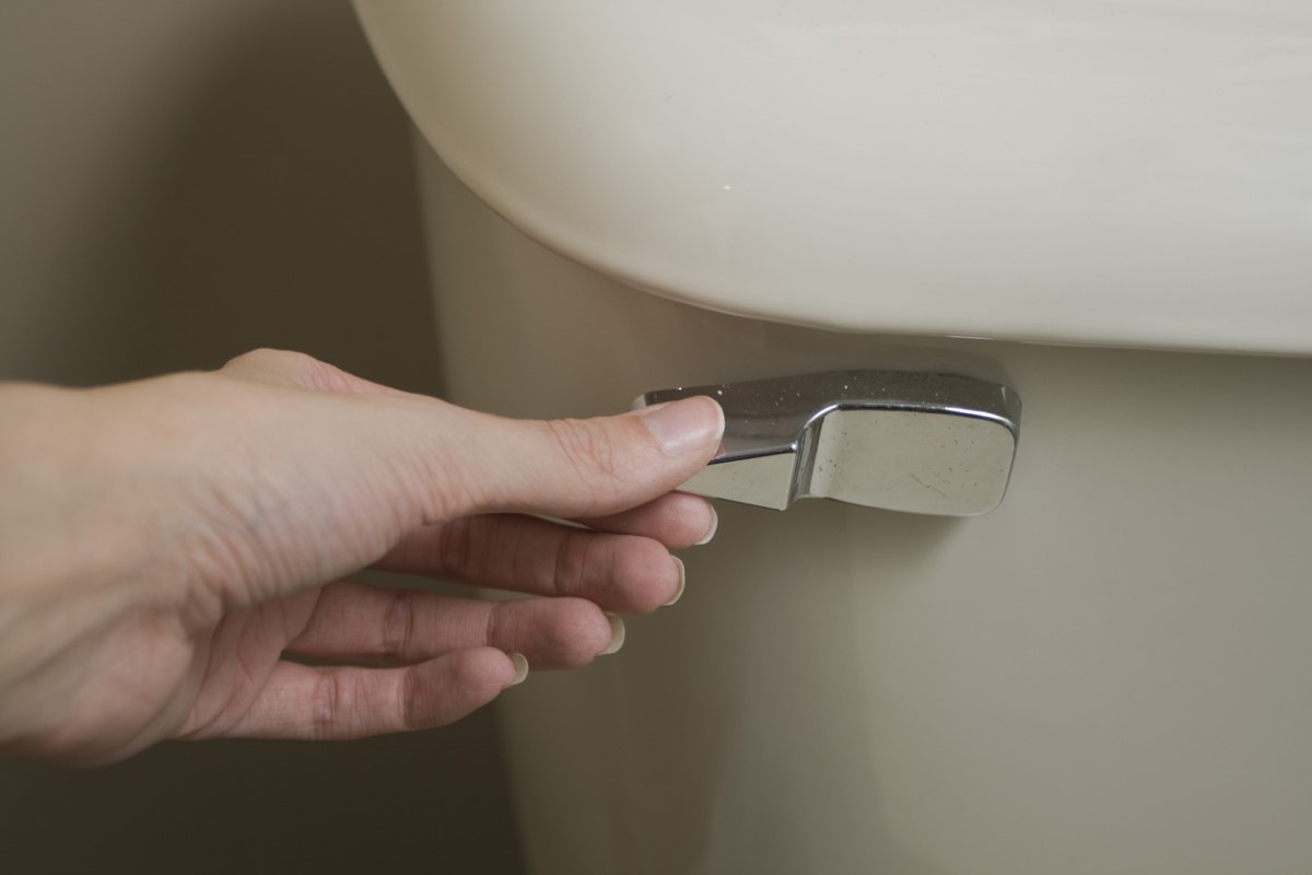 Here's Why You Might Hear Your Toilet Hissing (and How to Fix It)