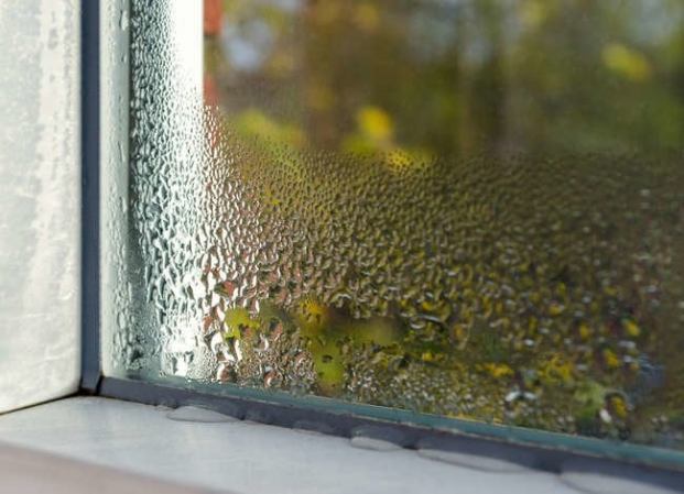 12 Big Mistakes That Lead to Mold and Mildew Growth