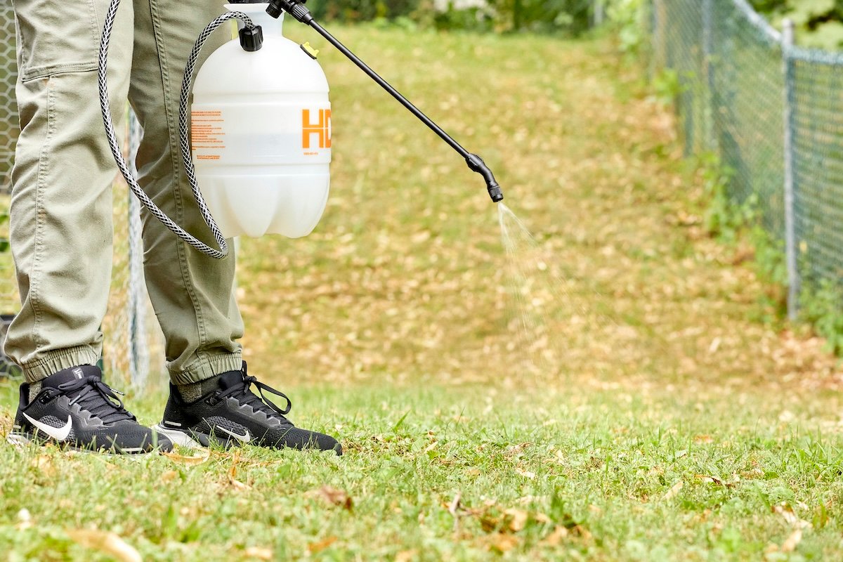 Woman uses a pump sprayer to apply homemade weed killer to yard.