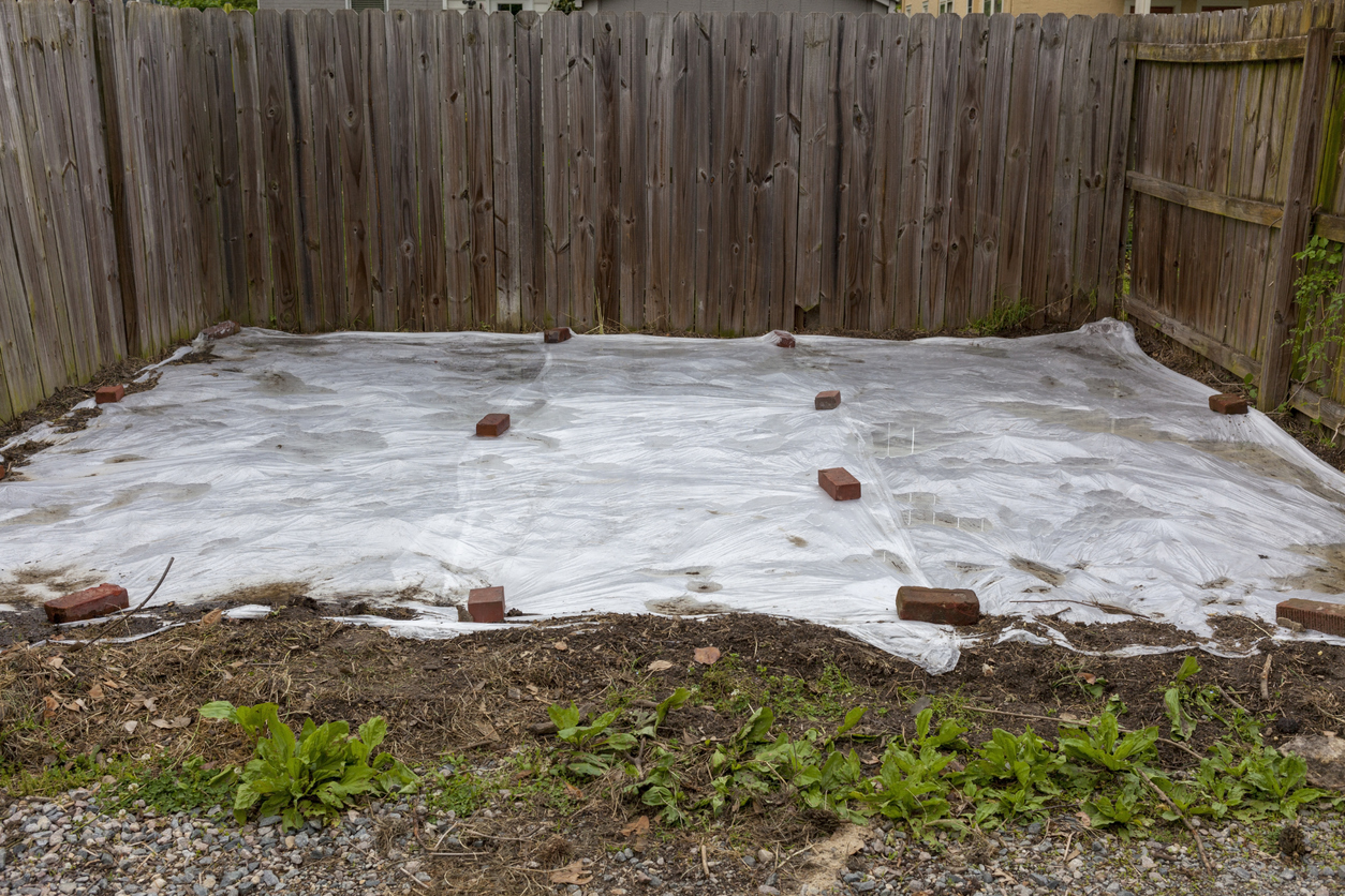 Smothering weeds with white tarp.