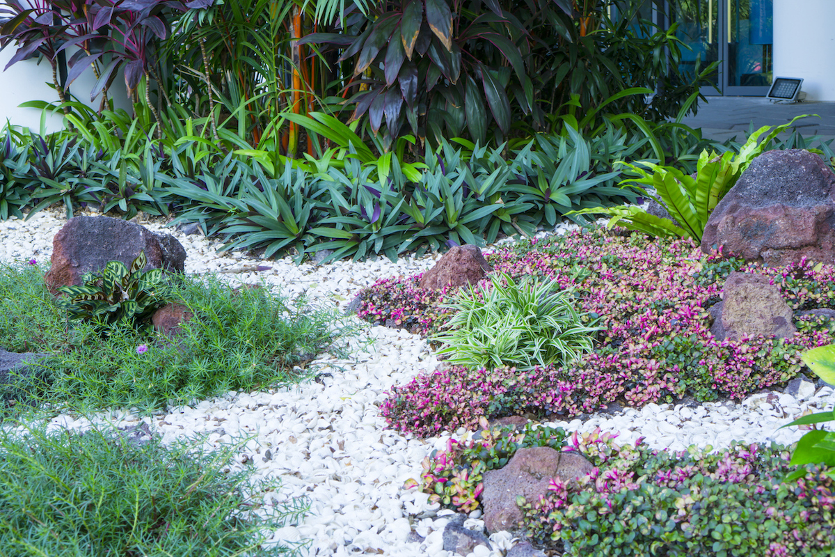 A garden features a white seashell pathway and green and red plants.