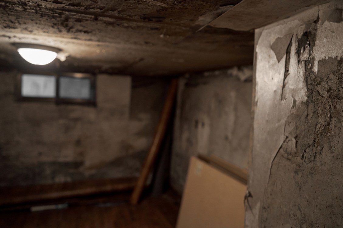 Musty Smell in the Basement? Causes + Solutions