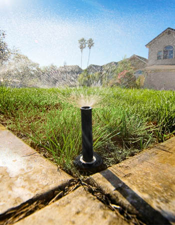 How Long to Water Lawn 7 Tips