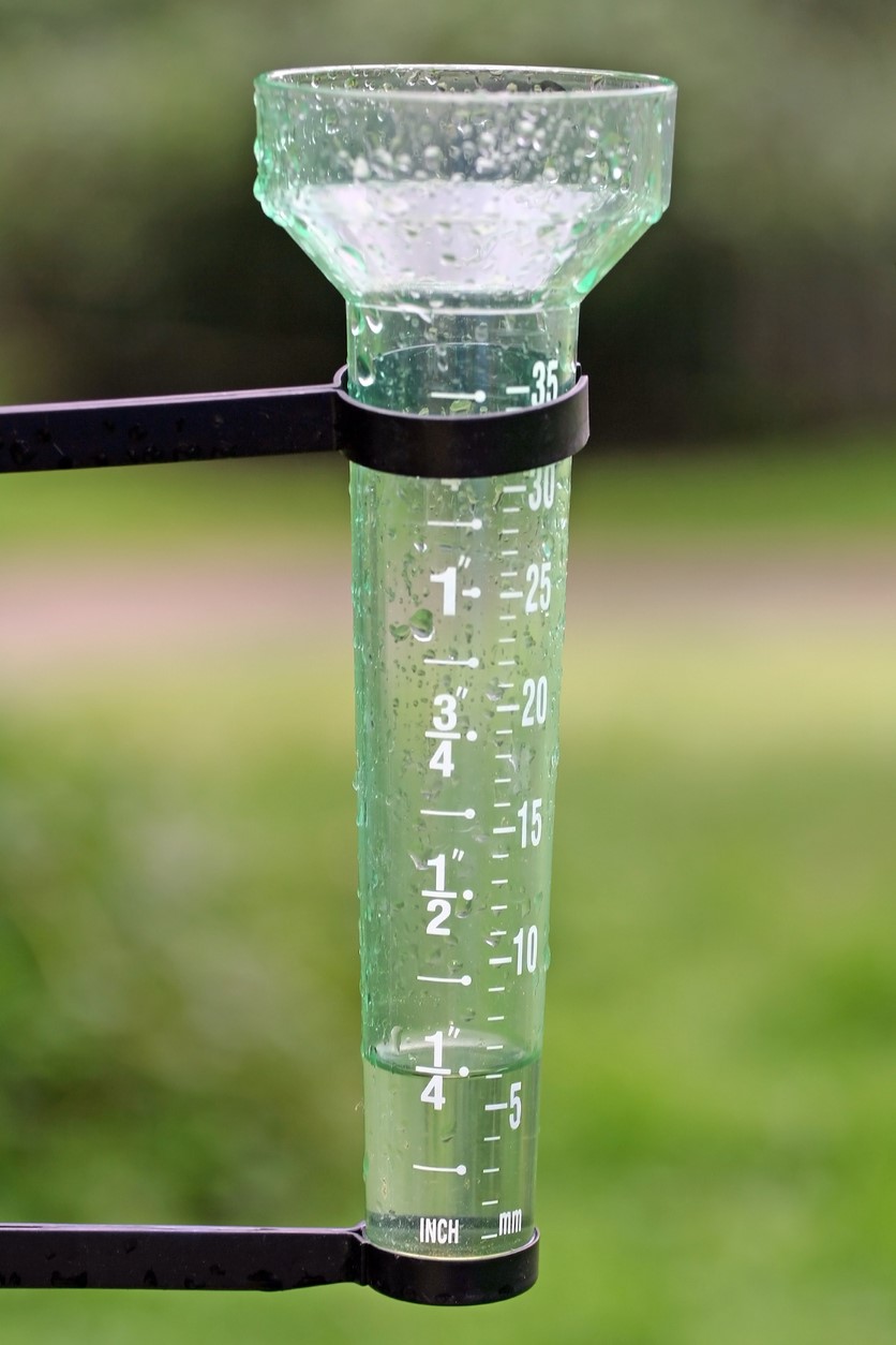 How Long to Water the Lawn If It Has Rained