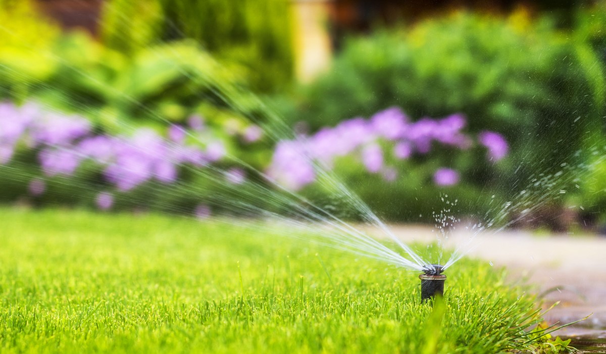 Here's How Long to Water the Lawn Each Week