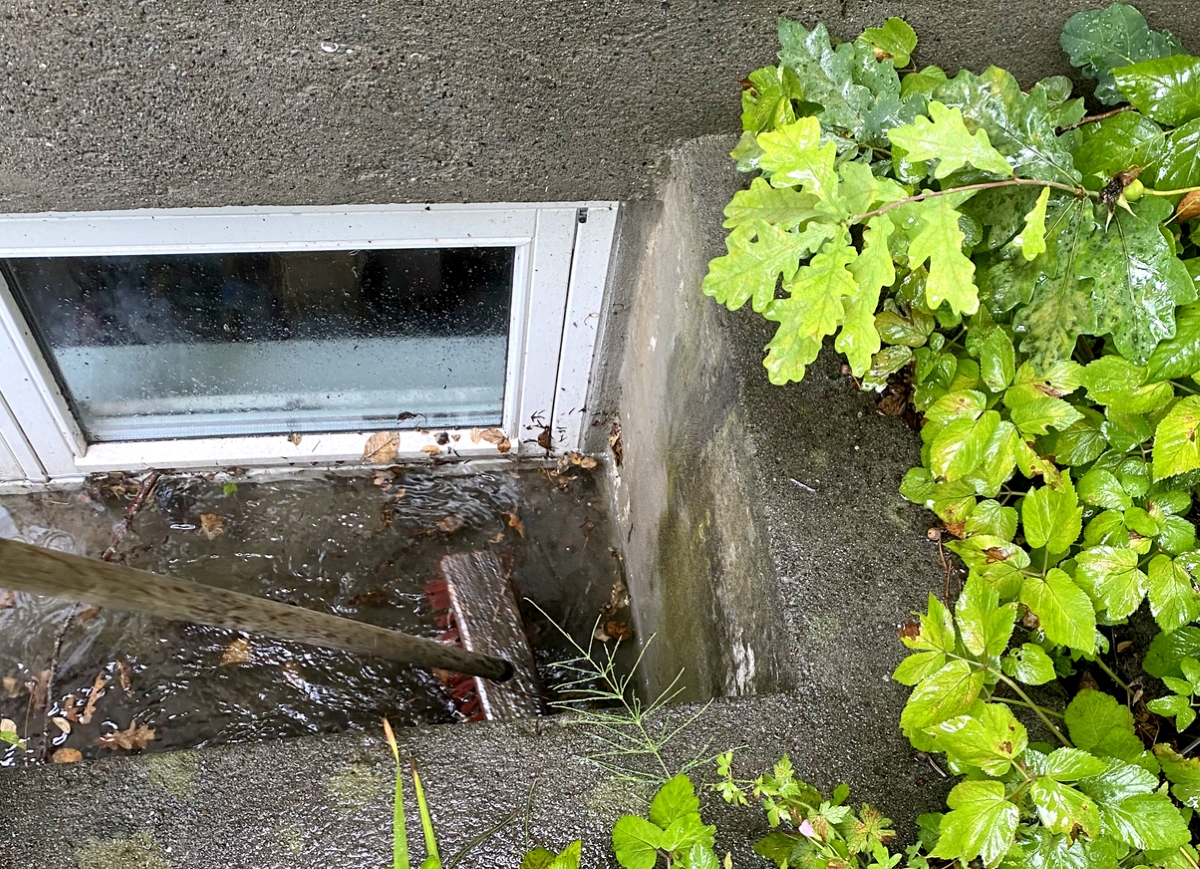 Large pool of water outside of basement window.