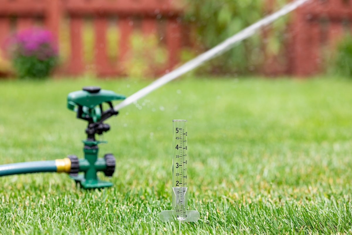 Lawn sprinkler shoots water across green lawn, with a rain gauge in the foreground.