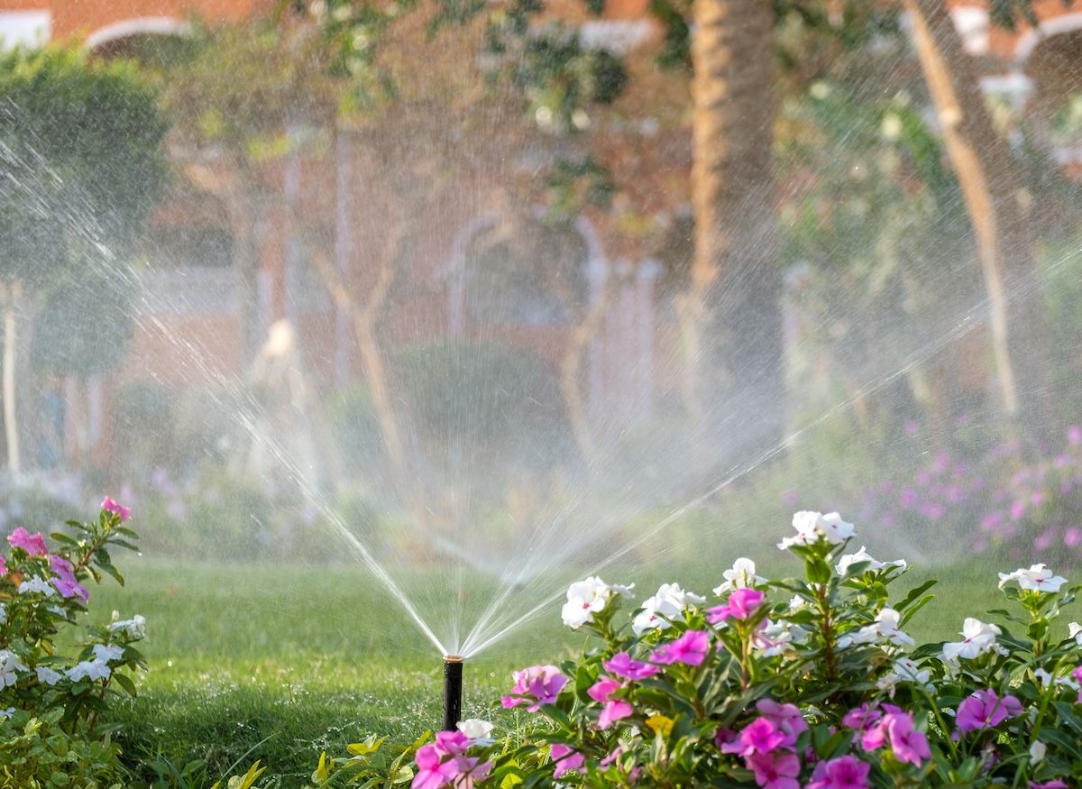 Sprinkler irrigating flower bed on grass lawn with water in summer garden.