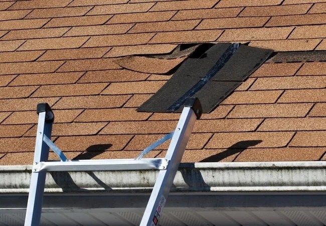 Solved! What to Do About a Leaky Roof