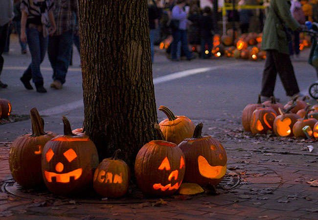 The 22 Coolest Pumpkin Displays Across the Country