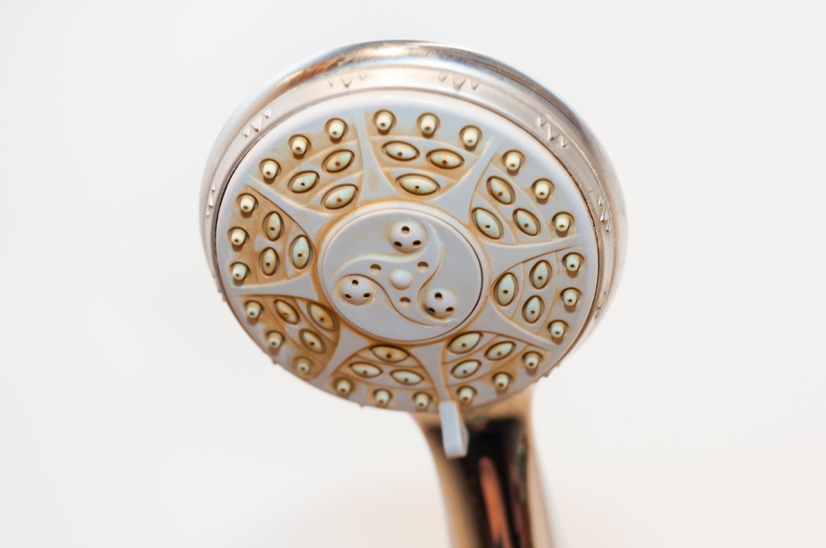 Try a Hard Water Test if You See Soap Scum and Mineral Deposits in the Shower