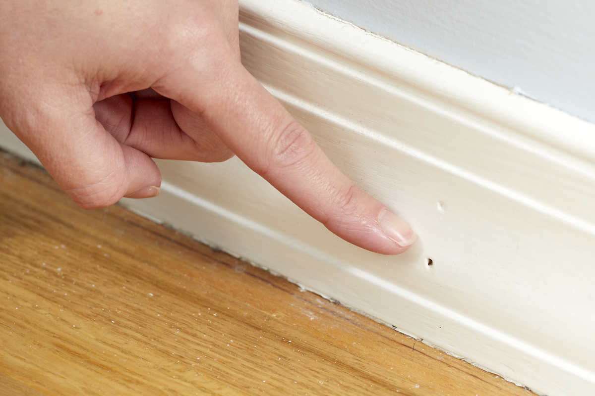 Woman points to a nail hole in baseboard trim.