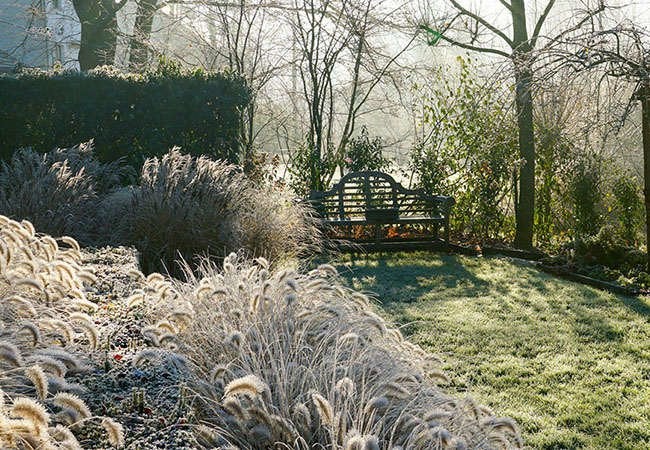 10 Landscaping Must-Dos to Help Your Plants Survive the Winter