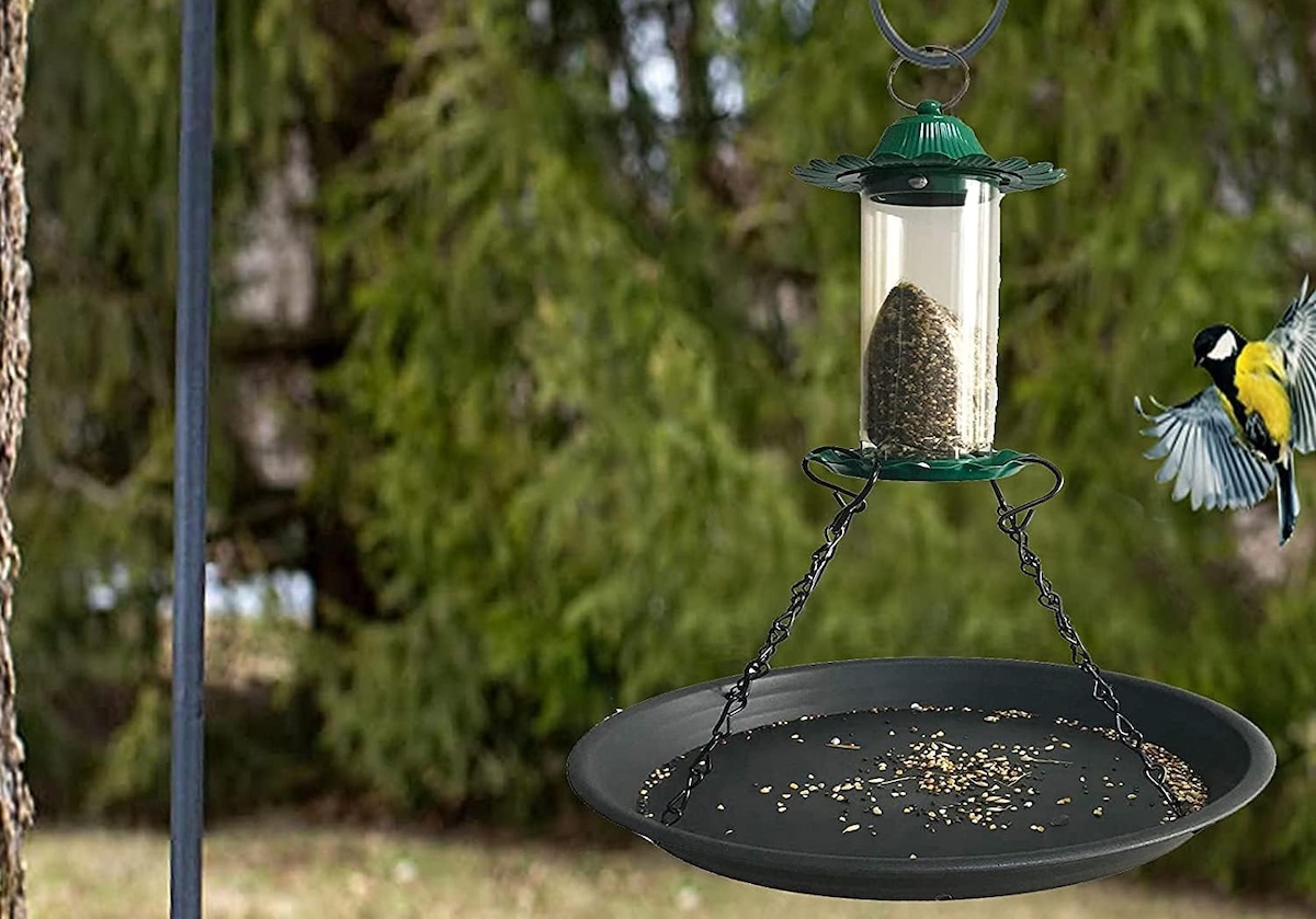 Bird seed catcher tray attached to the bottom of a bird feeder, with a bird nearby.