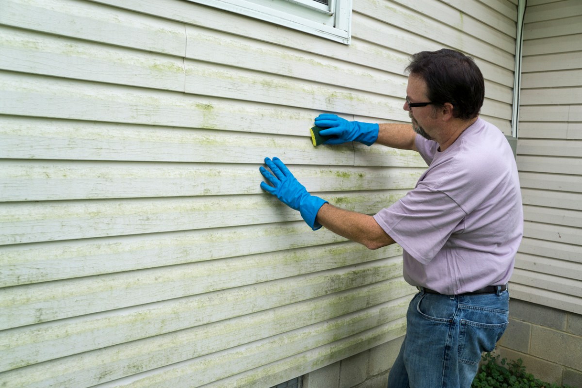iStock-486484344 trisodium phosphate man cleaning moldy siding on old house