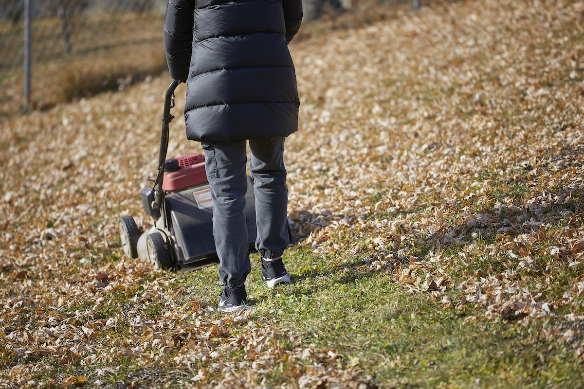 Rear view of woman wearing black coat, mowing a lawn covered with leaves.