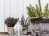 25 Ways to Enjoy Your Garden This Winter