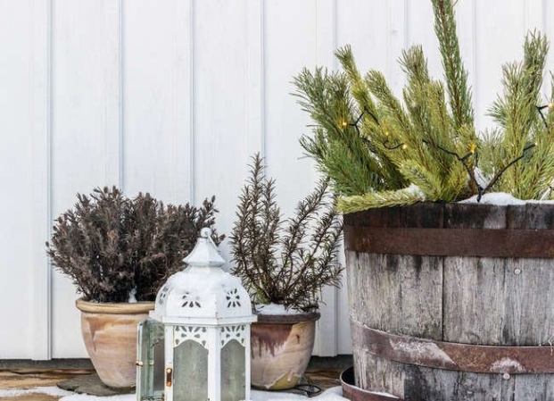 10 Ways to Buy Your Garden on the Internet
