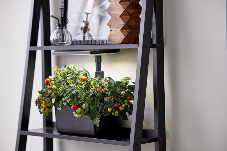 An AeroGarden on a shelf in a home.