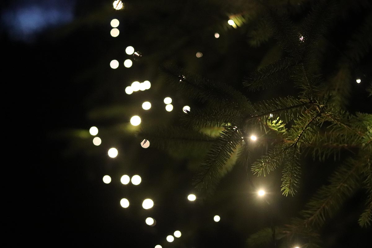 Small white lights on a Christmas tree as part of testing for the best Christmas lights.