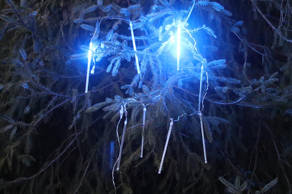 The Twinkle Star Meteor Shower Rain Lights installed on an outdoor pine tree during testing.