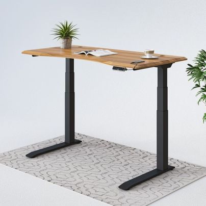 FlexiSpot E7 Electric Standing Desk with 2 plants and a rug on a white background
