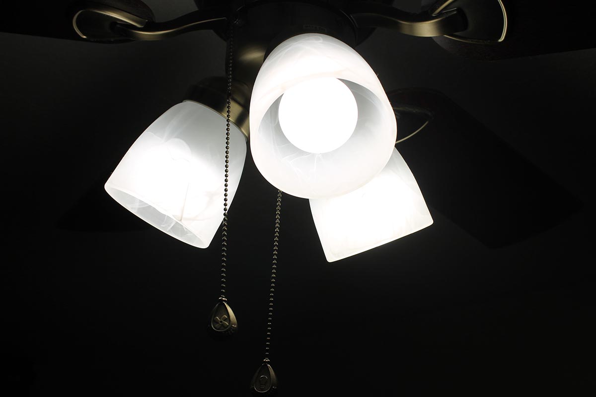 EcoSmart Daylight LED Light Bulb